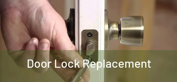  Door Lock Replacement 